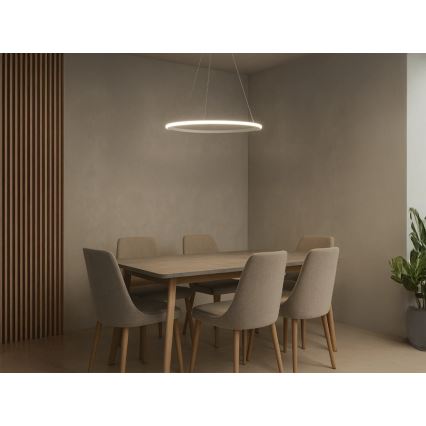 Lustră LED dimabilă suspendată pe cablu LED/32W/230V 3000-6500K, diam. 60 cm, cu telecomandă