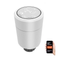 Cap termostatic 2xAA/3V Tuya Immax 07732L