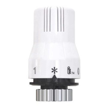 Cap termostatic M30x1,5