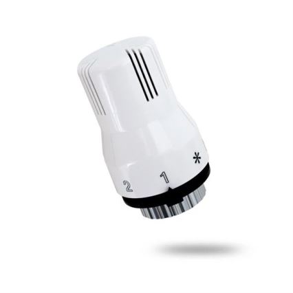 Cap termostatic M30x1,5