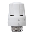 Cap termostatic M30x1,5