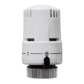 Cap termostatic M30x1,5