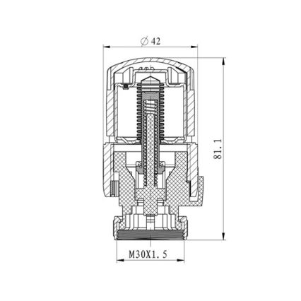 Cap termostatic M30x1,5