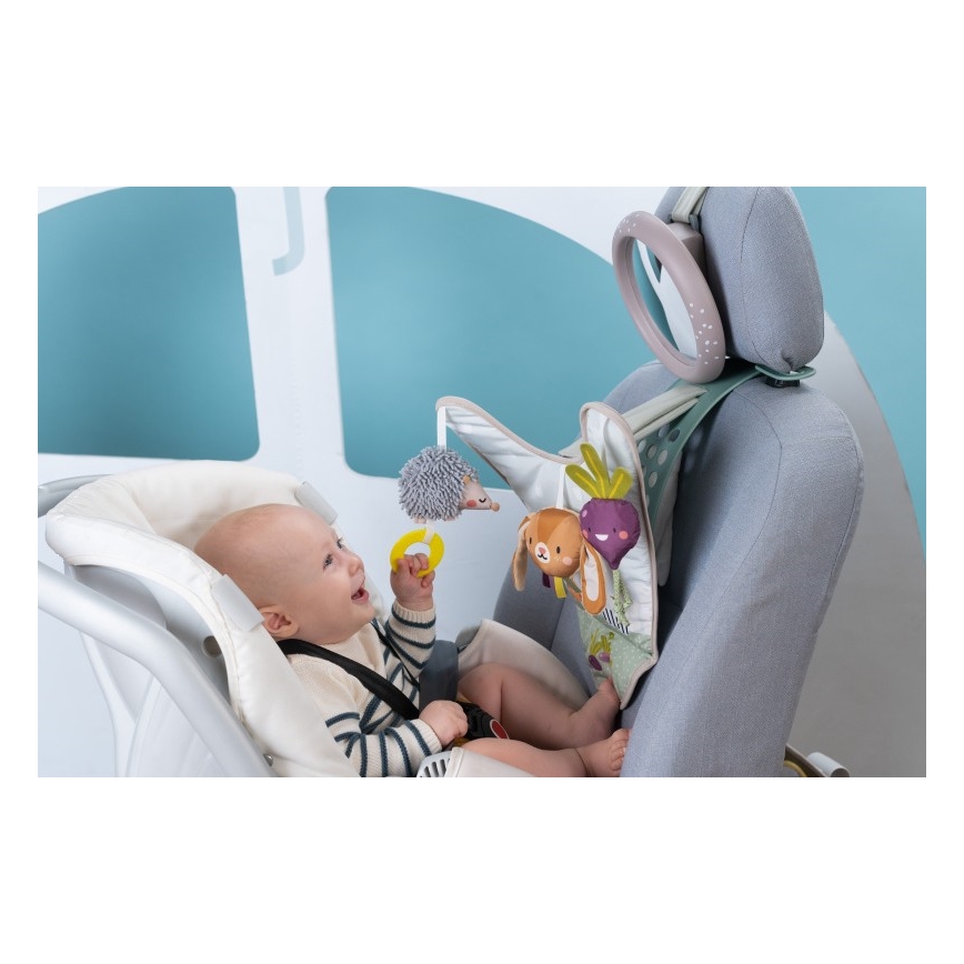 Centru de joacă auto Grădină Taf Toys