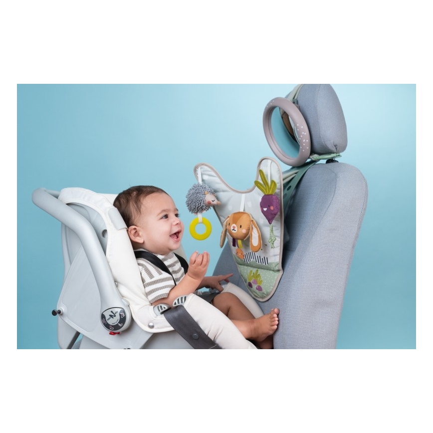 Centru de joacă auto Grădină Taf Toys