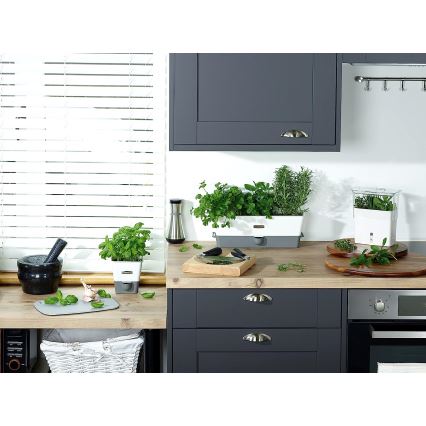 Cole&Mason - Recipient pentru ulei și oțet HENLEY 260 ml