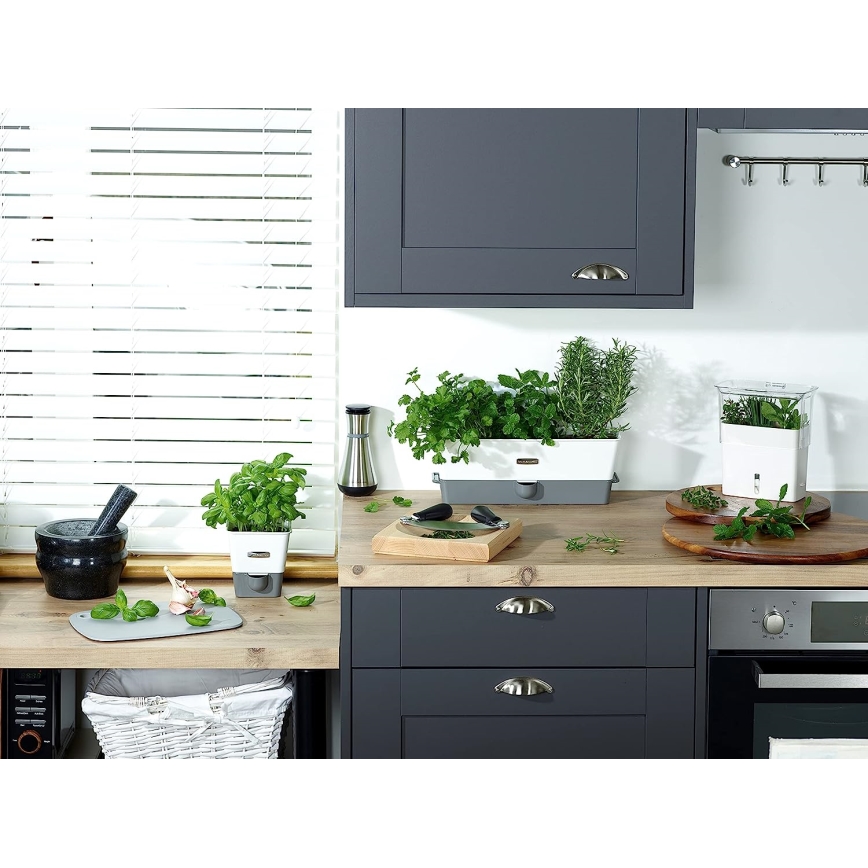 Cole&Mason - Recipient pentru ulei și oțet HENLEY 260 ml