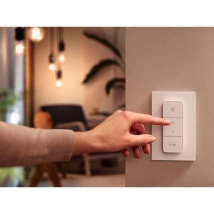 Comutator cu variator Philips Hue V2 1xCR2032