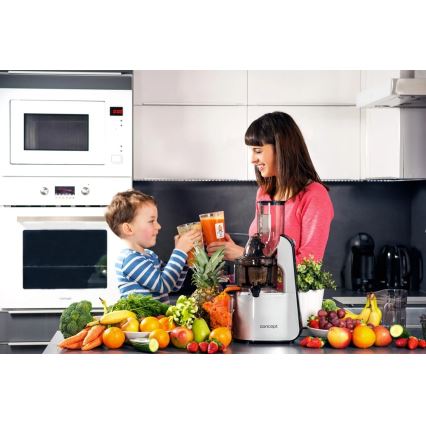 Concept LO7065 - Storcător cu melc 3 în 1 240W/230V gri