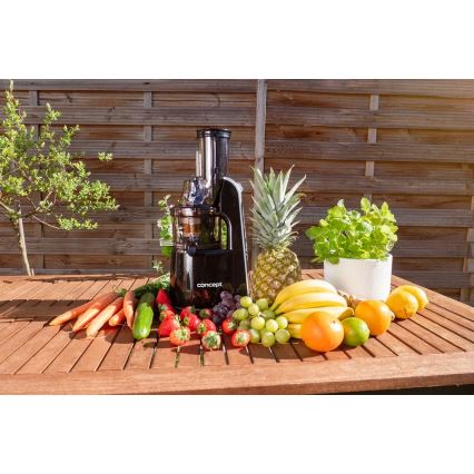 Concept LO7067 - Stoarcător cu melc 3 în 1, 240W/230V, negru