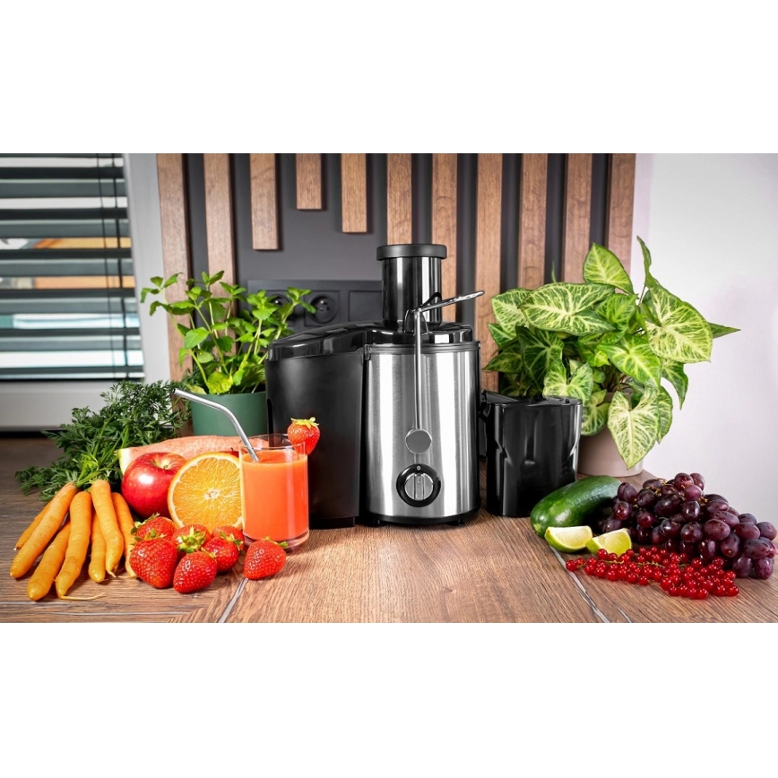 Concept LO7095 - Storcător centrifugal 1000W/230V negru/inox