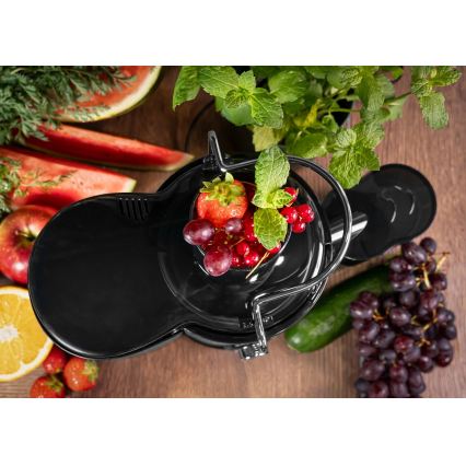Concept LO7095 - Storcător centrifugal 1000W/230V negru/inox