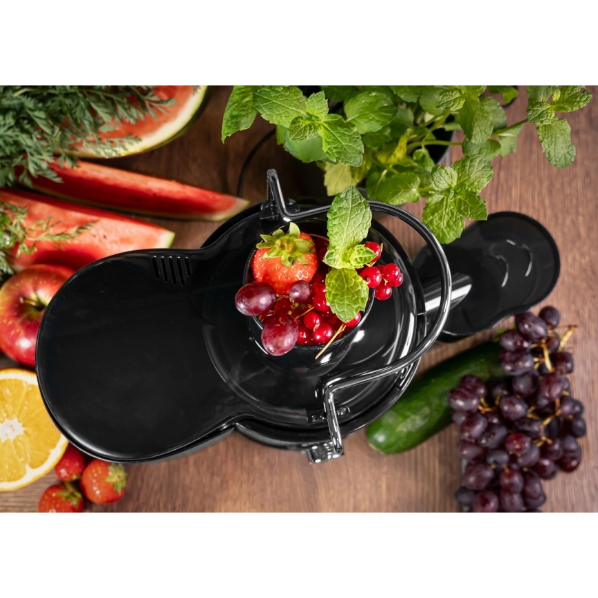 Concept LO7095 - Storcător centrifugal 1000W/230V negru/inox