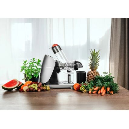 Concept LO7250 - storcător cu melc orizontal 200W/230V negru/inox