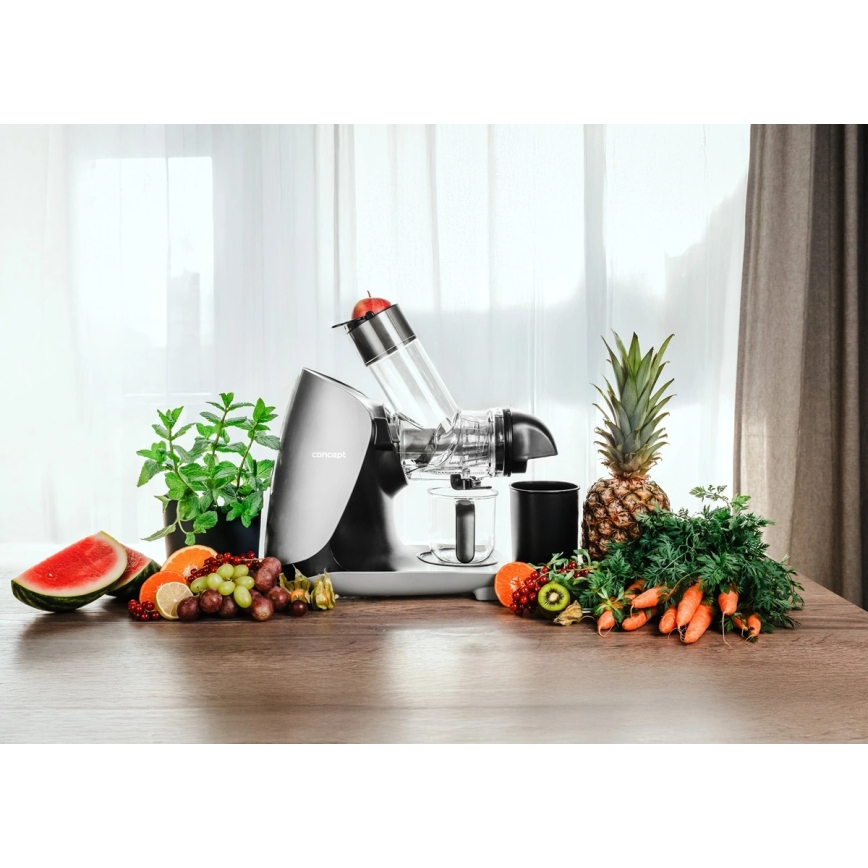 Concept LO7250 - storcător cu melc orizontal 200W/230V negru/inox
