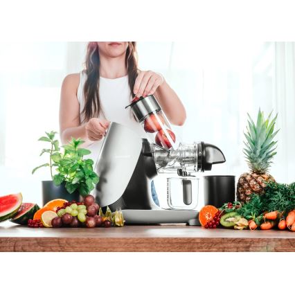 Concept LO7250 - storcător cu melc orizontal 200W/230V negru/inox