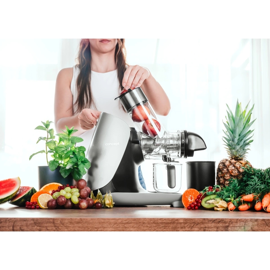 Concept LO7250 - storcător cu melc orizontal 200W/230V negru/inox