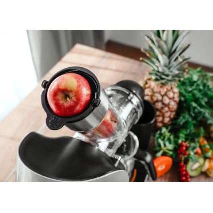 Concept LO7250 - storcător cu melc orizontal 200W/230V negru/inox