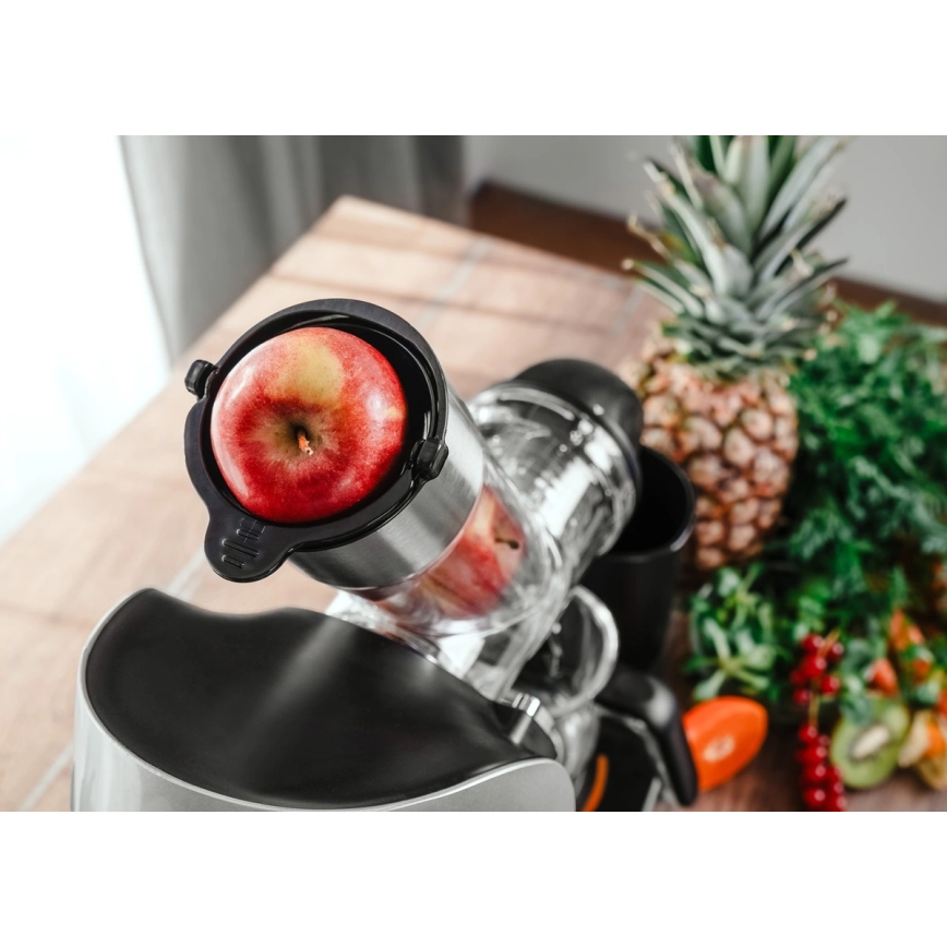 Concept LO7250 - storcător cu melc orizontal 200W/230V negru/inox
