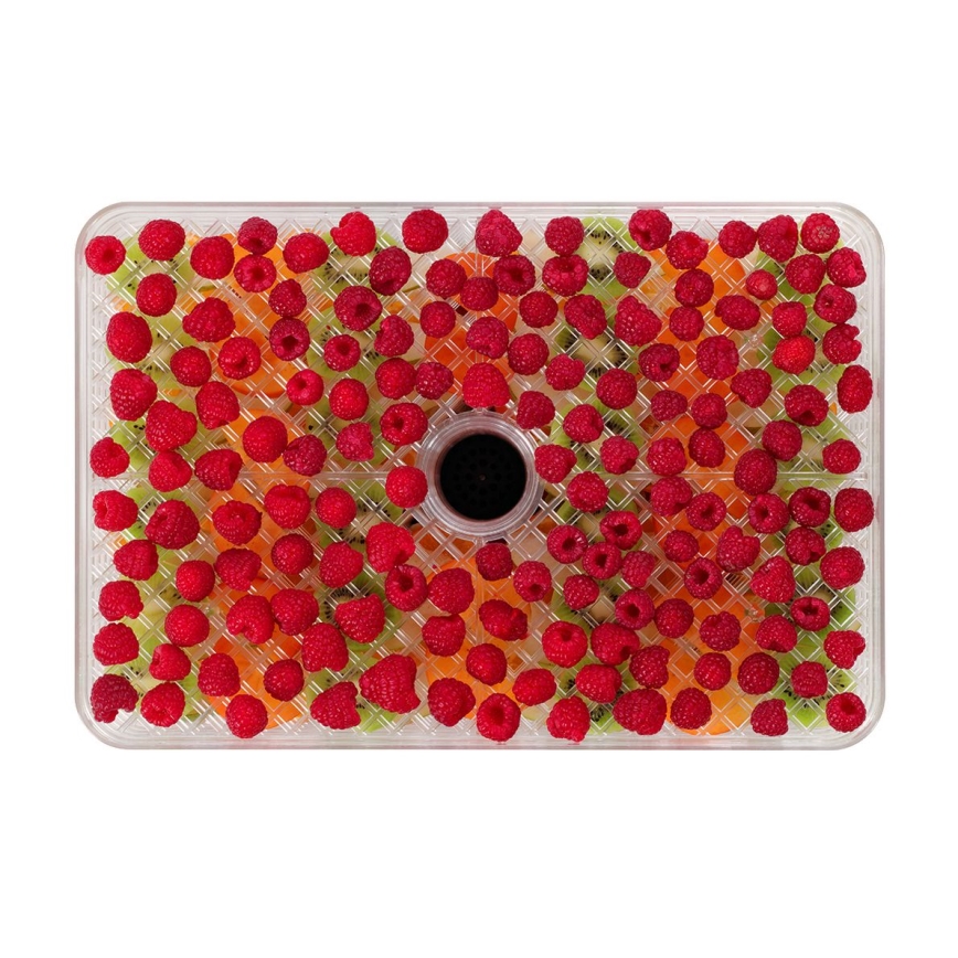 Concept SO2042 - Deshidrator de alimente 500W/230V negru + formă din silicon