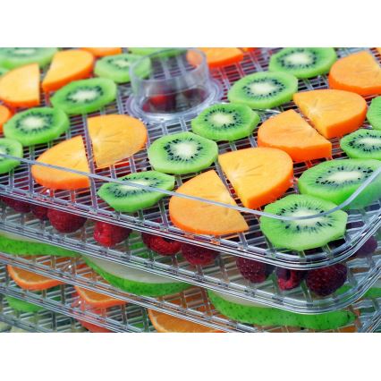 Concept SO2042 - Deshidrator de alimente 500W/230V negru + formă din silicon