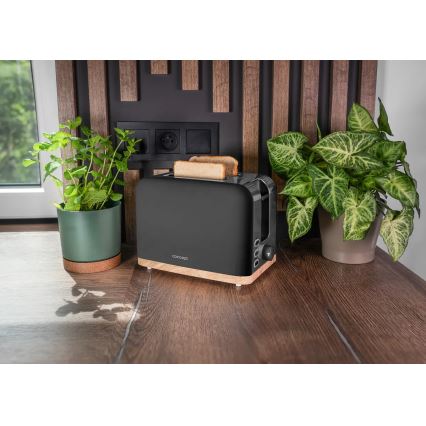 Concept TE2016 - Prăjitor de pâine cu 2 fante și suport pentru chifle, 930W/230V, negru