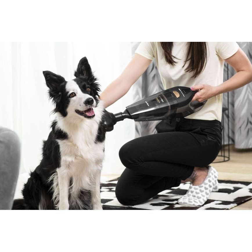 Concept VP4353 - Aspirator manual WET & DRY cu extensie pentru tub, 110W/18,5V 2200 mAh, negru