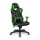 CONNECT IT CGC-0700-GR - Scaun de gaming LeMans Pro negru/verde