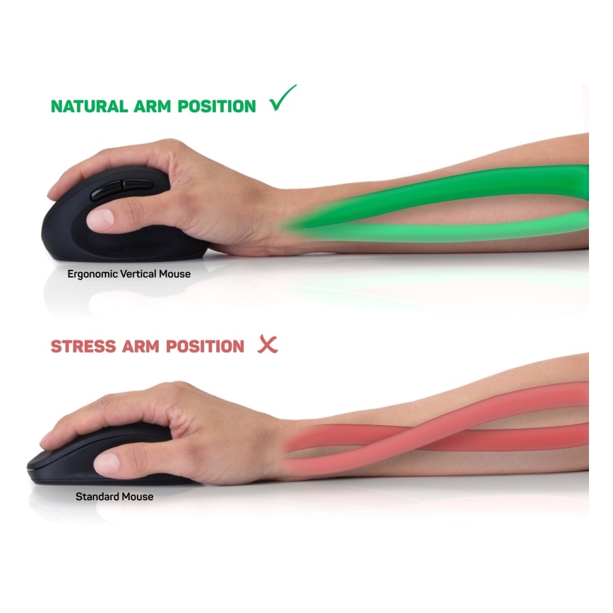 CONNECT IT CMO-2600-BK - Mouse ergonomic fără fir, 800/1200/1600 DPI, 1x AA, negru