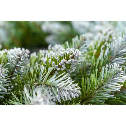 Coronă de Crăciun, diametru 54 cm