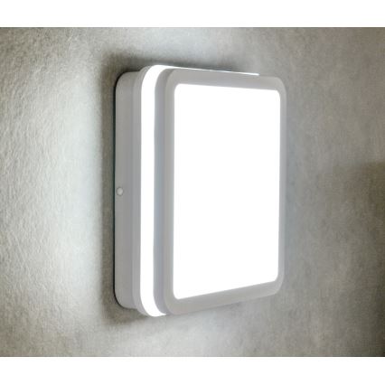 Corp de iluminat LED de exterior BENO LED/24W/230V 4000K alb IP54