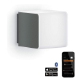 Corp de iluminat LED de exterior cu senzor de mișcare L 830 LED/9,5W/230V IP44 antracit Steinel 055493