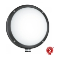 Corp de iluminat LED de exterior cu senzor STEINEL 053079 L330 LED/9W/230V IP44