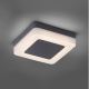 Corp de iluminat LED de exterior FABIAN LED/12,6W/230V IP54 Paul Neuhaus 9491-13