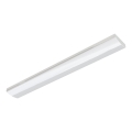Corp de iluminat LED fluorescent EeL LED/31W/230V 4112lm APLED