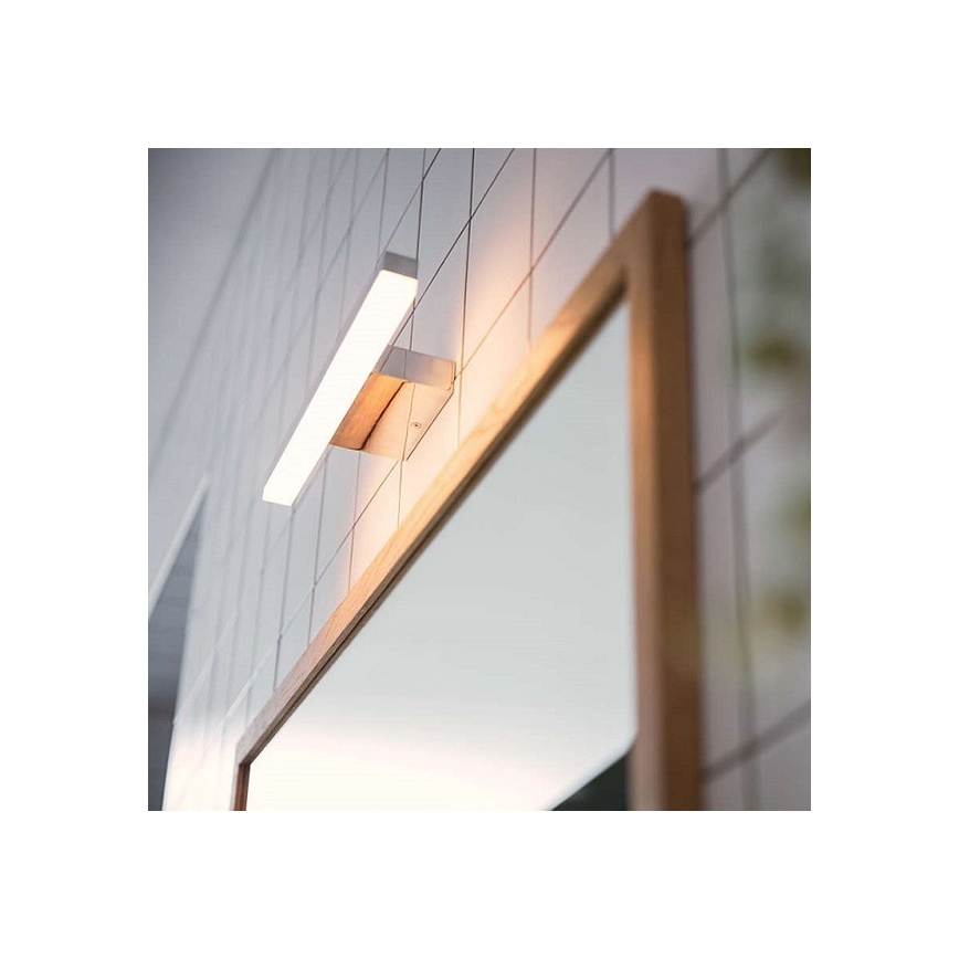 Philips 34341/11/P0 - LED lampa baie MYBATHROOM PLUNGE 2xLED/4,5W/230V