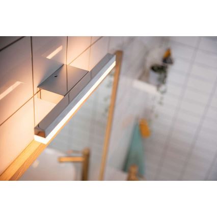 Philips 34341/11/P0 - LED lampa baie MYBATHROOM PLUNGE 2xLED/4,5W/230V