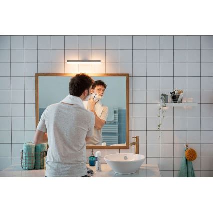 Philips 34341/11/P0 - LED lampa baie MYBATHROOM PLUNGE 2xLED/4,5W/230V