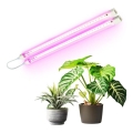 Corp de iluminat LED pentru corpuri de bucătărie pentru creșterea plantelor 2xLED/8,5W/230V alb