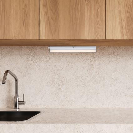 Corp de iluminat LED pentru corpuri de bucătărie Rabalux LED/4W/230V 3000/4000K alb