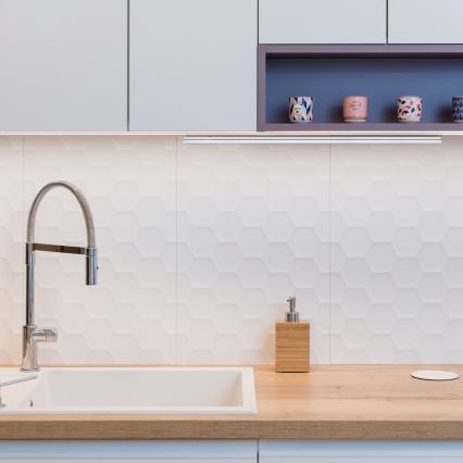 Corp de iluminat LED pentru corpuri de bucătărie Rabalux LED/20W/230V 3000/4000K alb