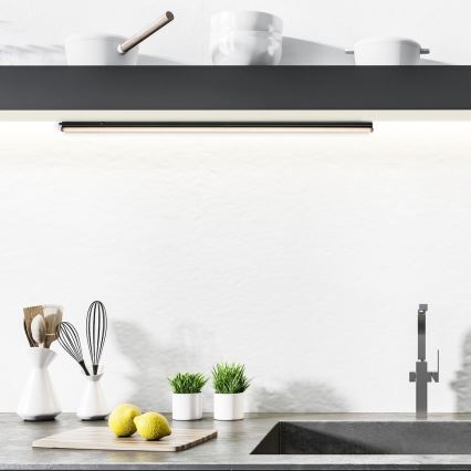 Corp de iluminat LED pentru corpuri de bucătărie Rabalux LED/16W/230V 3000/4000K negru