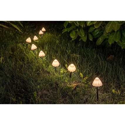 Corp de iluminat LED solar 10xLED/0,2W/1,2V IP44 Rabalux