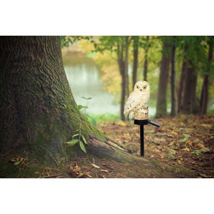 Corp de iluminat LED solar LED/0,06W/3V IP44 bufniță Globo