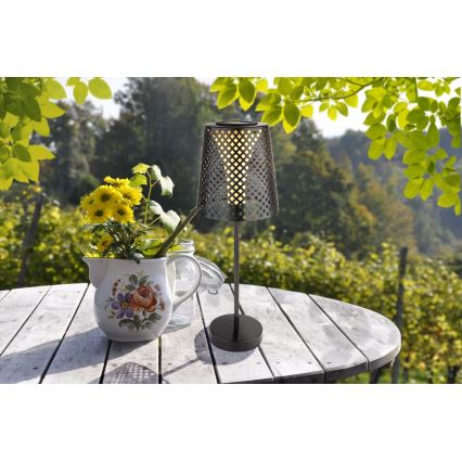 Corp de iluminat LED solar LED/0,06W/3V IP44 Globo