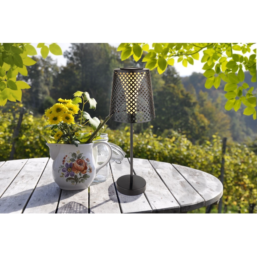 Corp de iluminat LED solar LED/0,06W/3V IP44 Globo