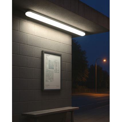 Corp de iluminat tehnic fluorescent LED/36W/230V 4200K 120 cm IP65