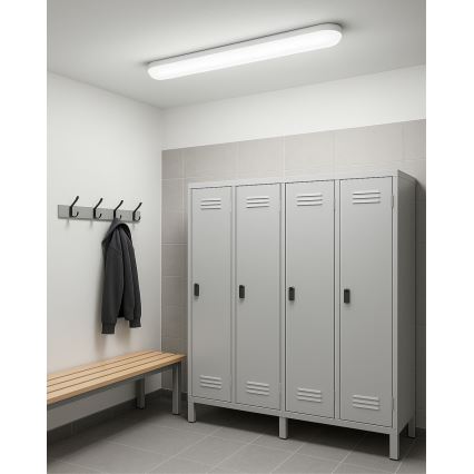 Corp de iluminat tehnic fluorescent LED/36W/230V 4200K 120 cm IP65