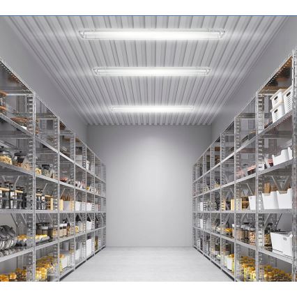 Corp de iluminat tehnic LED T8, 2 x soclu G13, 20 W, 230 V, 6500 K, 120 cm, IP65, alb