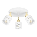 Corp de iluminat tip spot ELEN 3xE27/35W/230V alb/auriu